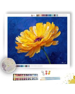 SUN PETALS - Paint by Numbers Full Kit