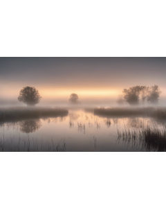 SUNRISE OVER A MISTY MARSHLAND