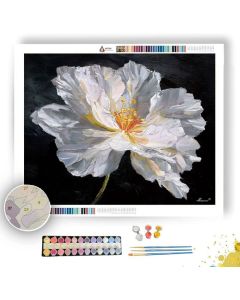 WHITE BLOOM SILENCE - Paint by Numbers Full Kit