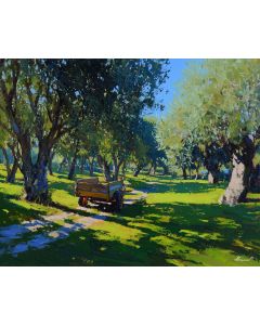 SPANISH OLIVE GROVE