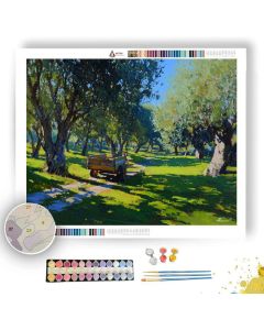SPANISH OLIVE GROVE - Paint by Numbers Full Kit