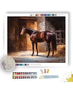 GROOMING AT STABLE - Paint by Numbers Full Kit