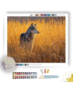GOLDEN PRAIRIE WATCHER - Paint by Numbers Full Kit