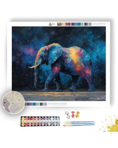 COSMIC WANDERER - Paint by Numbers Full Kit