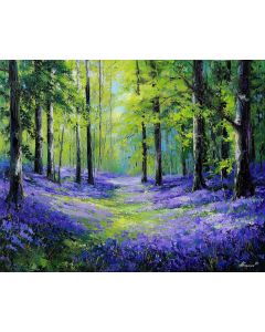 BLUEBELL FOREST FLOOR