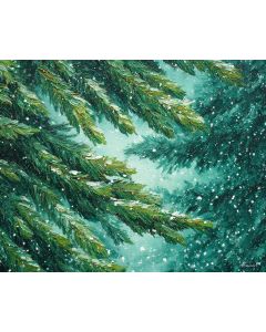 EVERGREEN SNOWFALL
