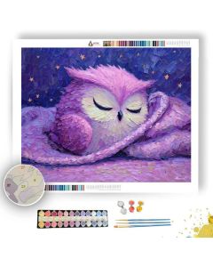 KAWAII OWL SLEEPING WITH BLANKET - Paint by Numbers Full Kit
