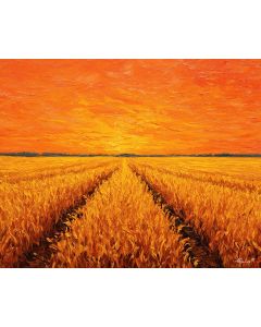 GOLDEN CORNFIELD MIDWEST SUNRISE
