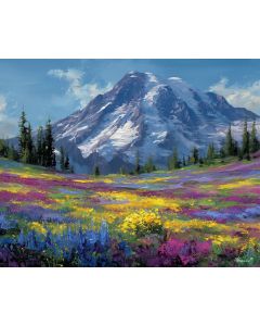 MOUNT RAINIER WILDFLOWER CARPET
