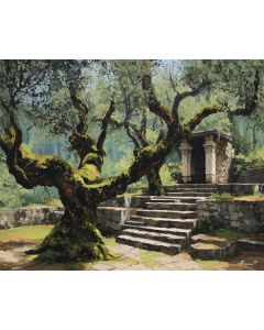 OLIVE TREE SANCTUARY