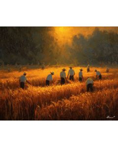 GOLDEN HARVEST FIELD