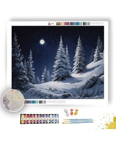 SILENT SNOWFALL - Paint by Numbers Full Kit