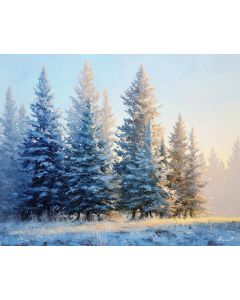 FROSTED PINES