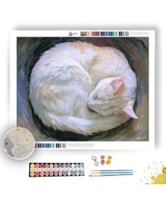 DOODLE CAT NAP - Paint by Numbers Full Kit