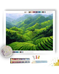 CLOUD TEA FIELDS OF HANGZHOU - Paint by Numbers Full Kit