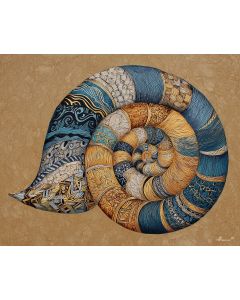 TANGLE SHELL FORM