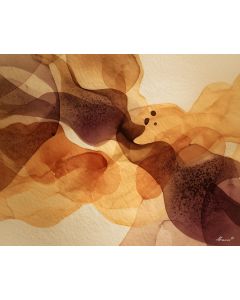 AMBER ECHOES