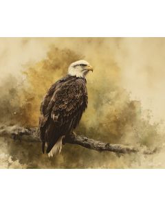 QUIET EAGLE