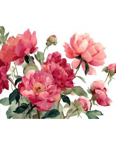 FRAGRANT PEONY