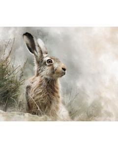 GENTLE HARE