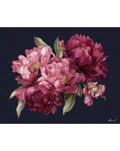 VELVET PEONY