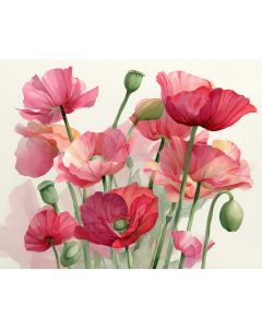 LUSH POPPY