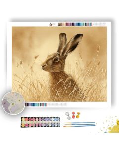 AMBER HARE - Paint by Numbers Full Kit