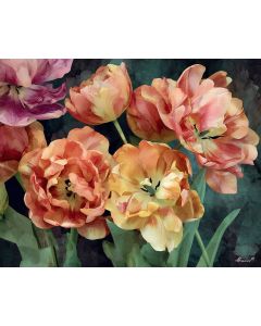 LUSH TULIP