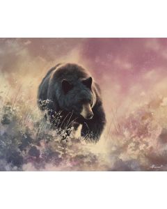 DUSKY BEAR