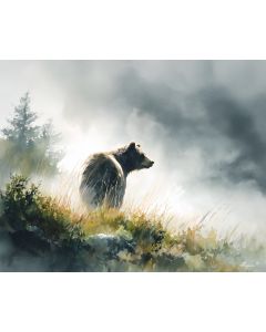 MISTY BEAR