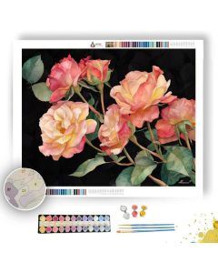 EVENING ROSE - Paint by Numbers Full Kit