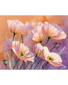 PASTEL POPPY