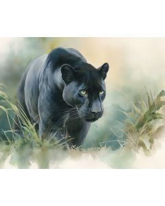WILD PANTHER