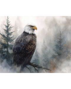 MISTY EAGLE