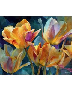 RADIANT TULIP
