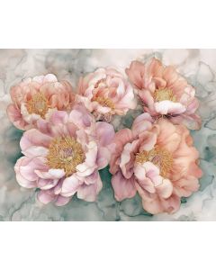 SOFT PEONY