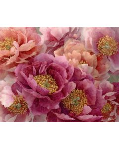 SILKEN PEONY