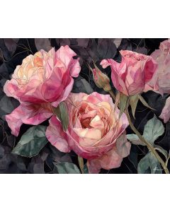 BLOSSOMING ROSE