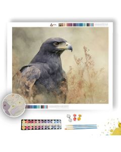 DUSKY EAGLE - Paint by Numbers Full Kit