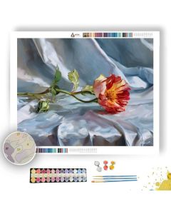 CALM LABYRINTH - Paint by Numbers Full Kit