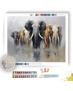 BLURRING ARC - Paint by Numbers Full Kit
