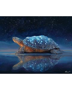 STAR BACK TURTLE