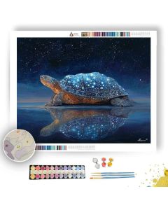 STAR BACK TURTLE - Paint by Numbers Full Kit