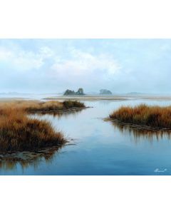 STILL WATERS MARSH