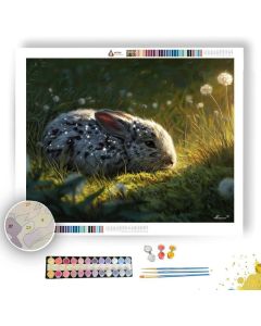 STAR FUR RABBIT - Paint by Numbers Full Kit