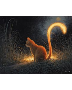 EMBER TAIL CAT