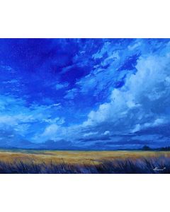 SAPPHIRE SKY FIELDS