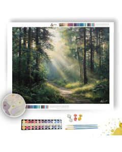 FOREST SUNBREAK - Paint by Numbers Full Kit