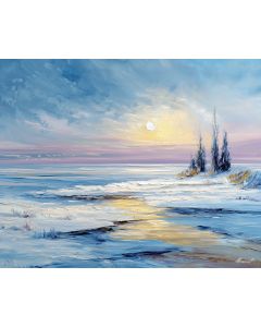 ICELANDIC WINTER SHORE
