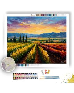 HAWKE BAY VINEYARDS - Paint by Numbers Full Kit